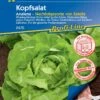 Kopfsalat Analena Saatband, Hitzebeständige Sorte Bildet Große Köpfe, Widerstandfähig 2 Kopfsalat Analena Saatband, Hitzebeständige Sorte Bildet Große Köpfe, Widerstandfähig -Samenshop24 Elegant Boutique kopfsalat analena
