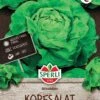 Kopfsalat Attraktion, Widerstandsfähig, Schossfest, Bewährter Typ, Feste Köpfe, Saatgut Von Sperli 2 Kopfsalat Attraktion, Widerstandsfähig, Schossfest, Bewährter Typ, Feste Köpfe, Saatgut Von Sperli -Samenshop24 Elegant Boutique kopfsalat attraktion