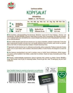 Kopfsalat Attraktion, Widerstandsfähig, Schossfest, Bewährter Typ, Feste Köpfe, Saatgut Von Sperli -Samenshop24 Elegant Boutique kopfsalat attraktion2