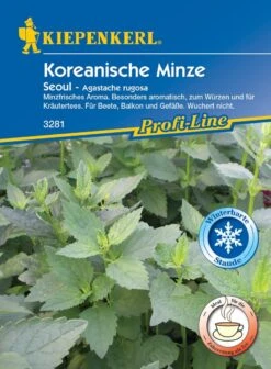 Koreanische Minze Seoul (mehrjährig), In Der Ganzen Vegetationszeit Im Freiland Und Unter Glas Minzeblätter Ernten, Aroma Angenehm Frisch -Samenshop24 Elegant Boutique koreanische minze seoul