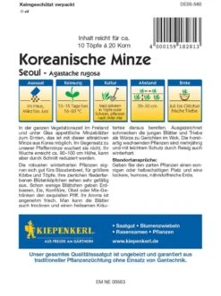 Koreanische Minze Seoul (mehrjährig), In Der Ganzen Vegetationszeit Im Freiland Und Unter Glas Minzeblätter Ernten, Aroma Angenehm Frisch -Samenshop24 Elegant Boutique koreanische minze seoul2