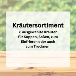 Kräuter-Sortiment, 8 Verschiedene Kräutersorten, Saatgut-Sortiment -Samenshop24 Elegant Boutique kraeuter sortiment 83