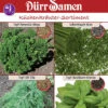 Küchenkräutersortiment Für Balkon Und Terrasse 2 Küchenkräutersortiment Für Balkon Und Terrasse -Samenshop24 Elegant Boutique kuechenkraeutersortiment fuer balkon und terrasse