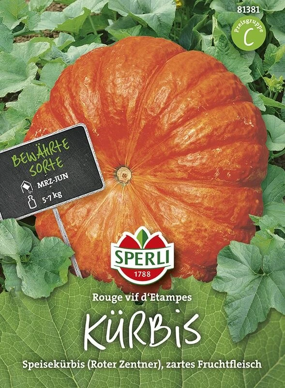 Kürbis Rouge Vif D’Etampes | Sehr Zartes Fruchtfleisch |für Kürbisgerichte Aller Art Geeignet 4 Kürbis Rouge Vif D’Etampes | Sehr Zartes Fruchtfleisch |für Kürbisgerichte Aller Art Geeignet – Bild 2