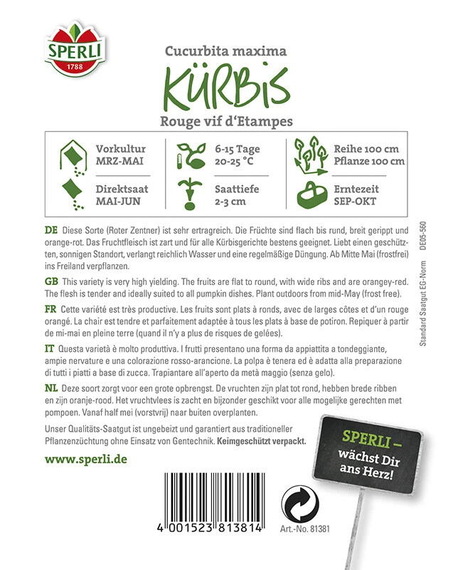 Kürbis Rouge Vif D’Etampes | Sehr Zartes Fruchtfleisch |für Kürbisgerichte Aller Art Geeignet 3 Kürbis Rouge Vif D’Etampes | Sehr Zartes Fruchtfleisch |für Kürbisgerichte Aller Art Geeignet