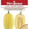 Kürbissamen Vegetable Spaghetti, Kalorienarm Und Leicht Verdaulich, Speisekürbis Von DürrSamen -Samenshop24 Elegant Boutique kuerbis vegetable spaghetti