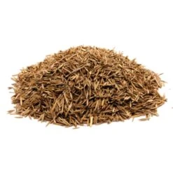 RSM-Rasensamen | 7.4.1 Landschaftsrasen Halbschatten | 1 Kg Für Ca. 50 M²