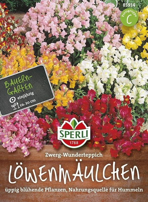 Löwenmaul, Zwerg-Wunderteppich, Einjährig, Beetpflanze, Höhe Ca. 20 Cm 3 Löwenmaul, Zwerg-Wunderteppich, Einjährig, Beetpflanze, Höhe Ca. 20 Cm