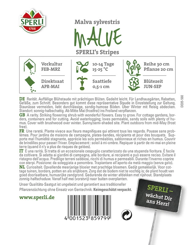 Malven SPERLING´s Stripes (Wilde Malven), Schöne Und Seltene Art, Mit Rosa-violett-weiß Gestreiften Blüten 3 Malven SPERLING´s Stripes (Wilde Malven), Schöne Und Seltene Art, Mit Rosa-violett-weiß Gestreiften Blüten