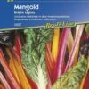 Mangold Bright Lights Bunt 2 Mangold Bright Lights Bunt -Samenshop24 Elegant Boutique mangold bright lights bunt
