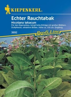 Echter Rauchtabak (Nicotiana Tabacum), Rauchtabakernte Aus Dem Eigenen Garten -Samenshop24 Elegant Boutique nicotiana tabacum echter rauchtabak