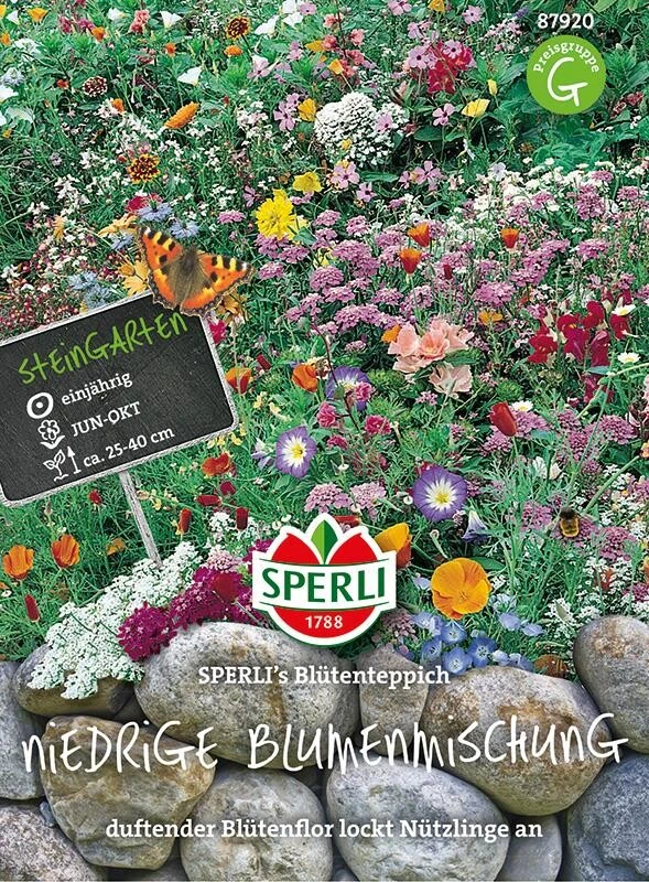 Niedrige Blumenmischung Blütenteppich 3 Niedrige Blumenmischung Blütenteppich