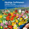 Niedrige Duftblumenmischung, Duftender Steingarten, 5 Saatscheiben -Samenshop24 Elegant Boutique niedrige duftblumenmischung duftender steingarten 5 saatscheiben