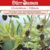 Olivenbaum Ölbaum Olea Europaea