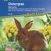 Ostergras, Wächst Ausgesprochen Schnell Und üppig -Samenshop24 Elegant Boutique ostergras waechst ausgesprochen schnell und ueppig