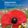 Papaver Rhoeas Klatschmohn -Samenshop24 Elegant Boutique papaver rhoeas klatschmohn
