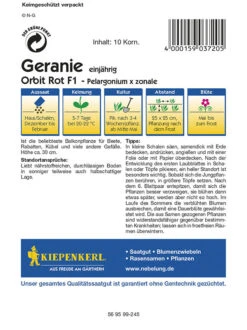 Pelargonium Zonale Geranien Rot