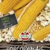 Popcornmais Nana F1 -Samenshop24 Elegant Boutique popcornmais nana f1