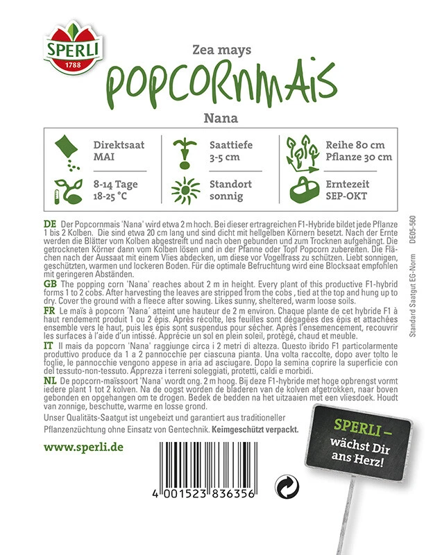 Popcornmais Nana F1 4 Popcornmais Nana F1 – Bild 2