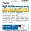 Porree Bavaria, Früher Porree Mit Langen Schäften Schnellwachsend Kräftige Farbe Hoher Ertrag, Ideal Für Die Verwendung Als Rohkost 2 Porree Bavaria, Früher Porree Mit Langen Schäften Schnellwachsend Kräftige Farbe Hoher Ertrag, Ideal Für Die Verwendung Als Rohkost -Samenshop24 Elegant Boutique porree bavaria2