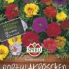 Portulakröschen Prachtmischung -Samenshop24 Elegant Boutique portulakroeschen prachtmischung