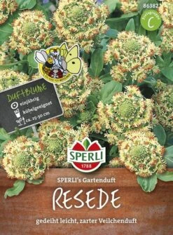 Reseden Reseda Odorata Gartenduft