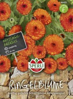 Ringelblume Calendula Officinalis Neon -Samenshop24 Elegant Boutique ringelblume calendula officinalis neon