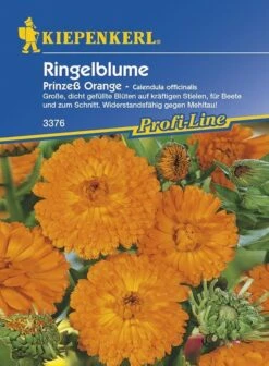 Ringelblume Prinzess Orange | Dicht Gefüllte Blüten Mit Kräftigen Stielen |zum Schnitt Geeignet 5 Ringelblume Prinzess Orange | Dicht Gefüllte Blüten Mit Kräftigen Stielen |zum Schnitt Geeignet -Samenshop24 Elegant Boutique ringelblume prinzess orange