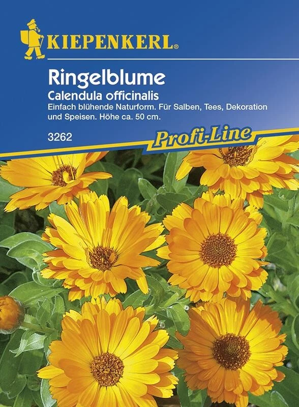 Ringelblumen Heilkraut Calendula Officinalis Für Tee- Und Salbenzubereitung 3 Ringelblumen Heilkraut Calendula Officinalis Für Tee- Und Salbenzubereitung – Bild 2