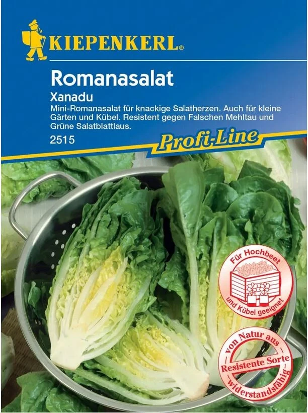 Mini-Romanasalat Xanadu, Für Knackige Salatherzen, Auch Für Kleine Gärten Und Kübel, Resistent Gegen Falschen Mehltau 5 Mini-Romanasalat Xanadu, Für Knackige Salatherzen, Auch Für Kleine Gärten Und Kübel, Resistent Gegen Falschen Mehltau – Bild 3