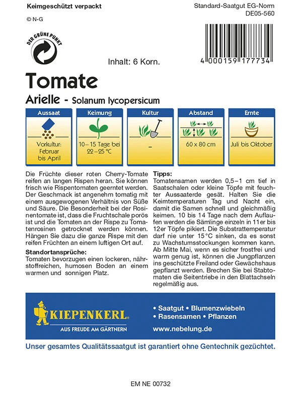 Tomaten Rosinentomate Arielle, Rote Cherry-Tomaten Reift An Langen Rispen, Fruchtgewicht 20 - 25 G 4 Tomaten Rosinentomate Arielle, Rote Cherry-Tomaten Reift An Langen Rispen, Fruchtgewicht 20 - 25 G – Bild 2