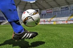 RSM 3.2 Sportrasen - Profi Mit Poa Pratensis & DynaSeed®, 10 Kg -Samenshop24 Elegant Boutique rsm 32 sportrasen profi mit poa pratensis dynaseed 10 kg