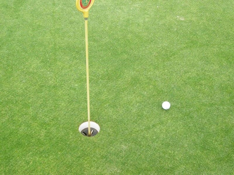 RSM-Rasensamen 4.1.2 Golfrasen Grün 10kg 3 RSM-Rasensamen 4.1.2 Golfrasen Grün 10kg