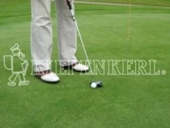 RSM-Rasensamen 4.2.1 Golfrasen DSV 420 Vorgrün 10kg 7 RSM-Rasensamen 4.2.1 Golfrasen DSV 420 Vorgrün 10kg -Samenshop24 Elegant Boutique rsm rasensamen 421 golfrasen dsv 420 vorgruen 10kg2