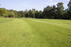 RSM-Rasensamen 4.4.2 Golfrasen Spielbahn 10kg