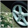 RSM-Rasensamen 5.1.1 Parkplatzrasen Mit 2% Achillea 10kg -Samenshop24 Elegant Boutique rsm rasensamen 511 parkplatzrasen mit 2 achillea 10kg