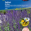 Salvia Ährensalbei Big Blue 2 Salvia Ährensalbei Big Blue -Samenshop24 Elegant Boutique salvia aehrensalbei big blue