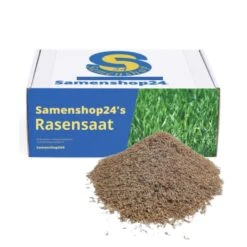 Samenshop24® RSM-Rasensamen 3.2 Sportrasen Regeneration Mit Poa Pratensis 1kg 12 Samenshop24® RSM-Rasensamen 3.2 Sportrasen Regeneration Mit Poa Pratensis 1kg -Samenshop24 Elegant Boutique samenshop24 rsm rasensamen 32 sportrasen regeneration mit poa pratensis 1kg