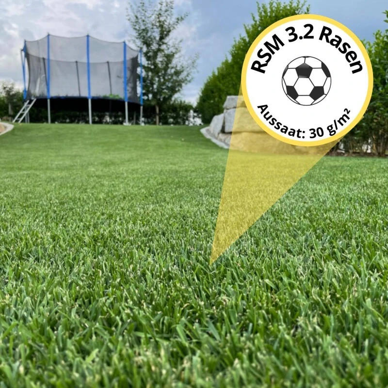 Samenshop24® RSM-Rasensamen 3.2 Sportrasen Regeneration Mit Poa Pratensis 1kg 6 Samenshop24® RSM-Rasensamen 3.2 Sportrasen Regeneration Mit Poa Pratensis 1kg – Bild 4