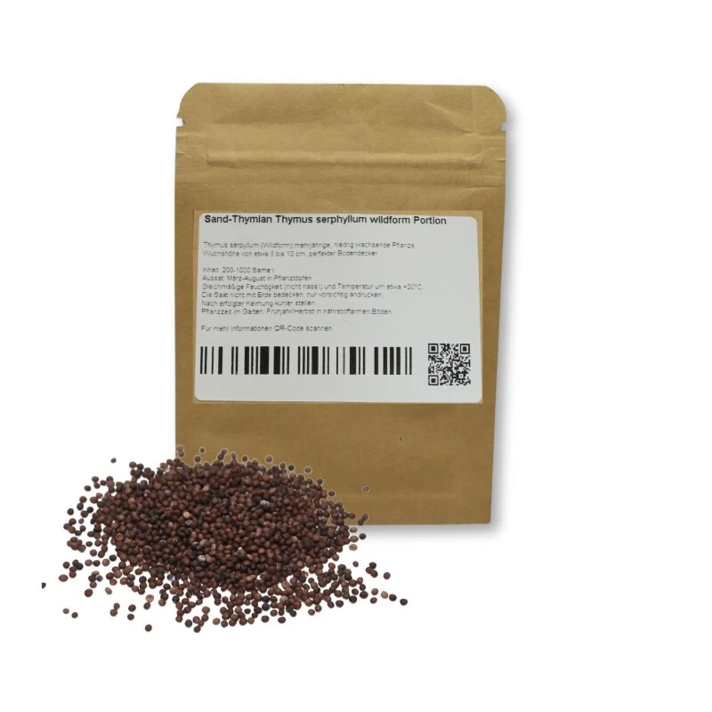 Sand-Thymian Thymus Serphyllum Wildform Bodendecker Trittfest 3 Sand-Thymian Thymus Serphyllum Wildform Bodendecker Trittfest
