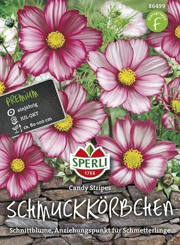 Schmuckkörbchen Candy Stripes 4 Schmuckkörbchen Candy Stripes – Bild 2