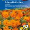 Schmuckkörbchen Mandarin, üppiger Dauerblüher Lockt Zahlreiche Insekten Und Nützlinge An 1 Schmuckkörbchen Mandarin, üppiger Dauerblüher Lockt Zahlreiche Insekten Und Nützlinge An -Samenshop24 Elegant Boutique schmuckkoerbchen mandarin