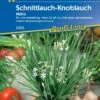 Schnittlauch-Knoblauch Neko, Ein Bis Mehrjährig, Aromatisch Mild Im Geschmack, Kiepenkerl 1 Schnittlauch-Knoblauch Neko, Ein Bis Mehrjährig, Aromatisch Mild Im Geschmack, Kiepenkerl -Samenshop24 Elegant Boutique schnittlauch knoblauch neko