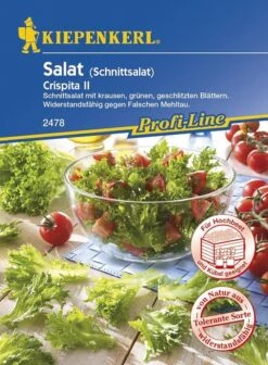 Schnittsalat Crispita II | Schnellwachsend | Ideal Für Schnelle Zwischenkulturen 5 Schnittsalat Crispita II | Schnellwachsend | Ideal Für Schnelle Zwischenkulturen -Samenshop24 Elegant Boutique schnittsalat crispita ii