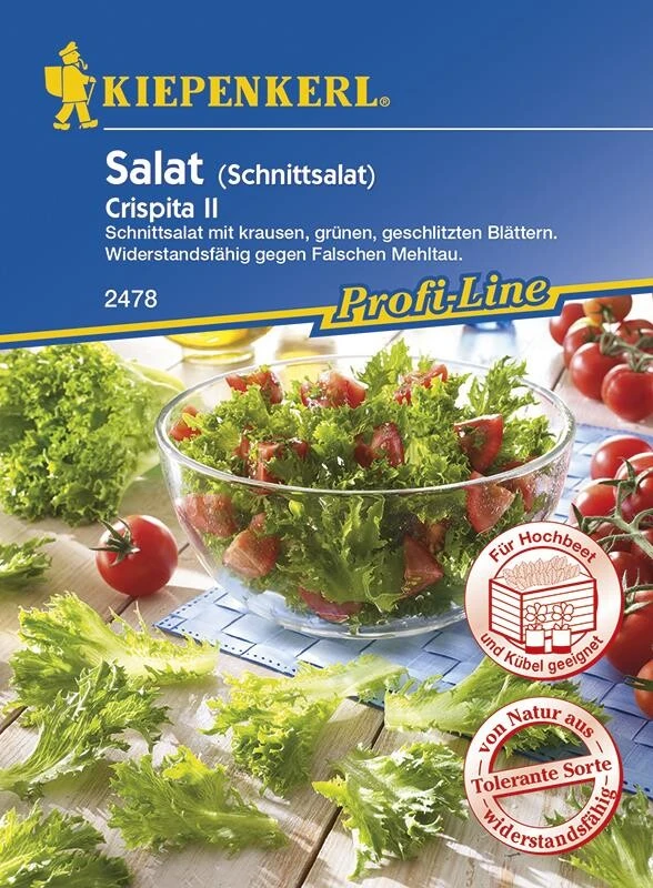 Schnittsalat Crispita II | Schnellwachsend | Ideal Für Schnelle Zwischenkulturen 4 Schnittsalat Crispita II | Schnellwachsend | Ideal Für Schnelle Zwischenkulturen – Bild 2