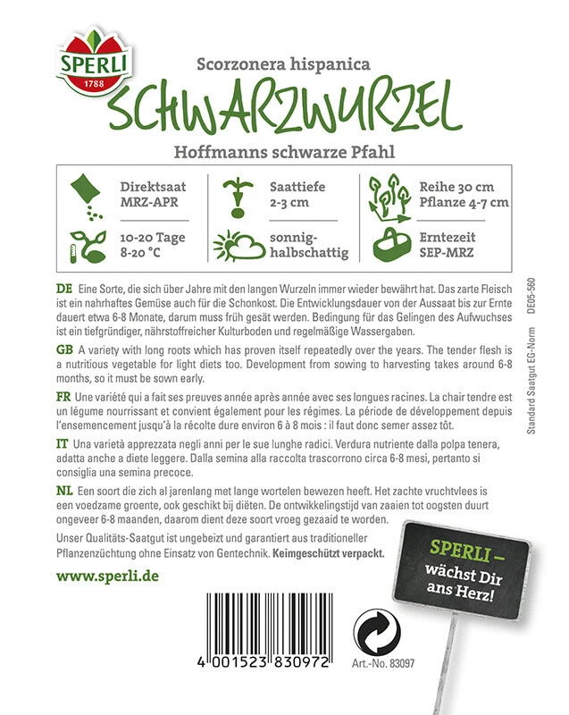 Schwarzwurzel Hoffmanns Schwarze Pfahl 4 Schwarzwurzel Hoffmanns Schwarze Pfahl – Bild 2