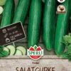 Salatgurke Paska F1, Resistent, Ertragreich, Für Freiland Und Gewächshaus, Saatgut Von Sperli -Samenshop24 Elegant Boutique sflatgurke paska