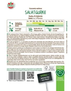 Salatgurke Paska F1, Resistent, Ertragreich, Für Freiland Und Gewächshaus, Saatgut Von Sperli -Samenshop24 Elegant Boutique sflatgurke paska2