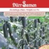 Snackgurken Hopeline F1 (Treibgurke/ Hausgurke), Knackig Geschmackvoll Und Widerstandsfähig -Samenshop24 Elegant Boutique snackgurken hopeline f1