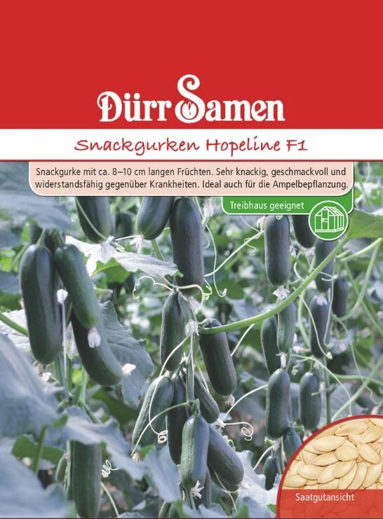 Snackgurken Hopeline F1 (Treibgurke/ Hausgurke), Knackig Geschmackvoll Und Widerstandsfähig 3 Snackgurken Hopeline F1 (Treibgurke/ Hausgurke), Knackig Geschmackvoll Und Widerstandsfähig